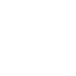 newsletter icon 1